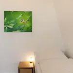 Hirschmann 5 Mit Kamin Apartamento Braunlage
