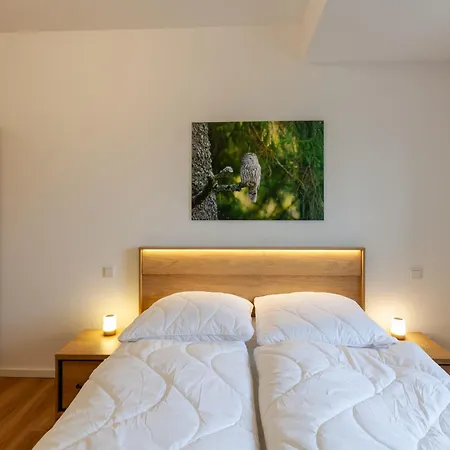 Hirschmann 5 Mit Kamin Appartement Braunlage