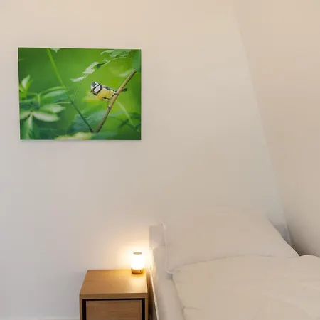 Hirschmann 5 Mit Kamin דירה בראונלאגה