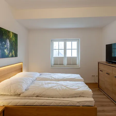Appartement Hirschmann 5 Mit Kamin Braunlage